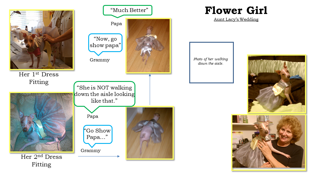 flower girl image.