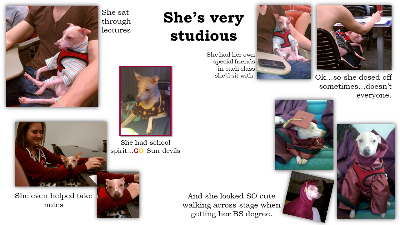 school image.